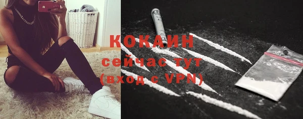 соль ск Козельск