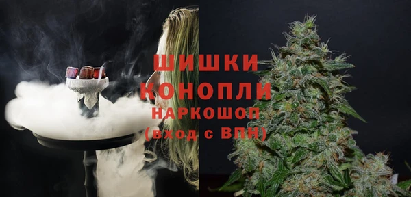 соль ск Козельск