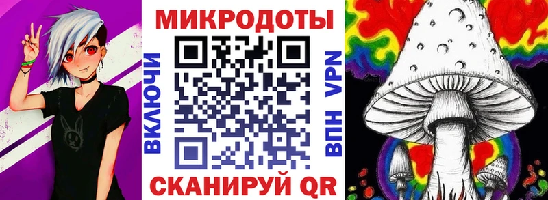 Галлюциногенные грибы Cubensis  Купить закладки  Владимир 